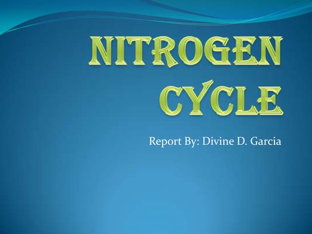 Nitrogen Cycle & How Do Human Activities Affect the Ecosystem by Divine Garcia