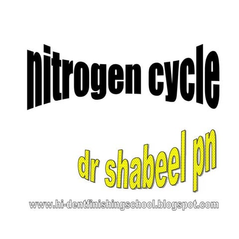 Nitrogen Cycle