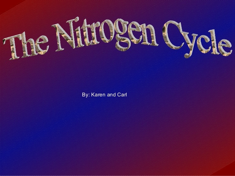 Nitrogen Cycle Powerpoint