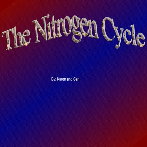 Nitrogen Cycle Powerpoint