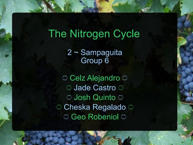 Nitrogen cycle ppt