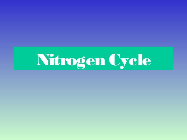Nitrogen cycle (ppt presentation)