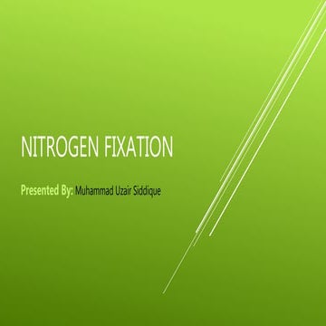 Nitrogen fixation