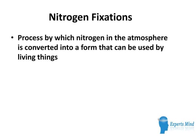 Nitrogen fixations 