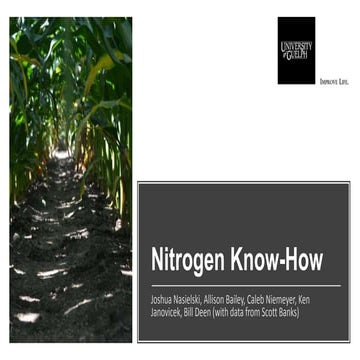 12. Nitrogen Know-how