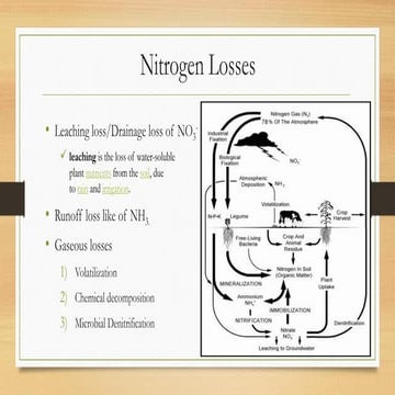 Nitrogen losses | PDF