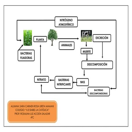 NITRÓGENO ATMOSFÉRICO