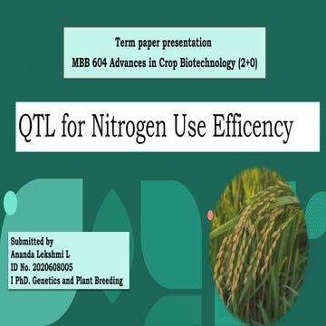 QTL for Nitrogen use efficiency in plants