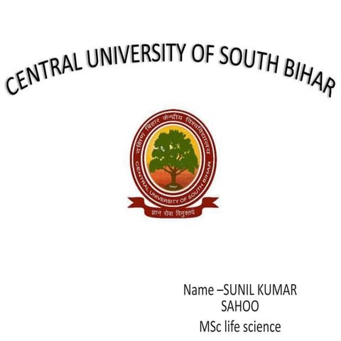 ELECTRON TRANSPORT CHAIN  ' ETS '