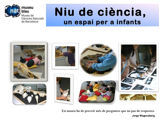Niu de ciencia