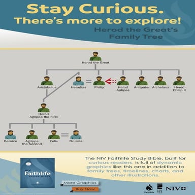 Herod the Great's Family Tree