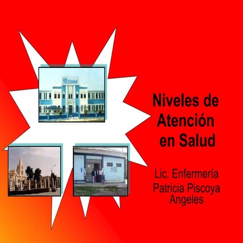 Niveles De Salud