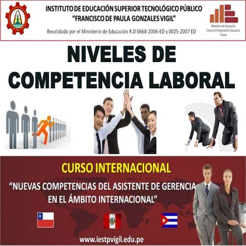 Niveles de competencia profesionales