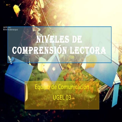 Niveles de comprensión lectora - UGEL 03