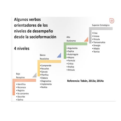 Niveles de desempeño