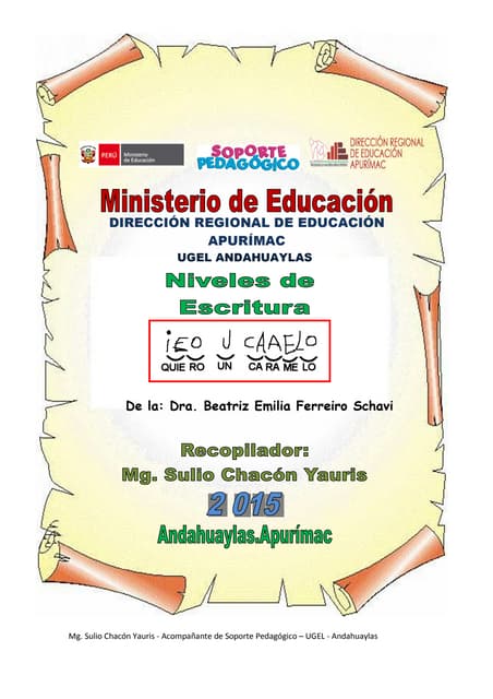 Niveles de Escritura de Emilia Ferr...