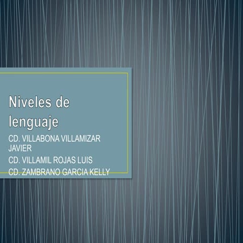 Niveles de lenguaje