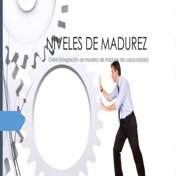 Niveles de madurez