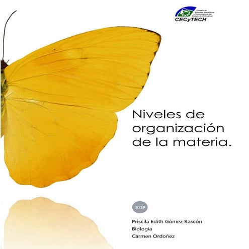 Niveles de Organización de la Materia