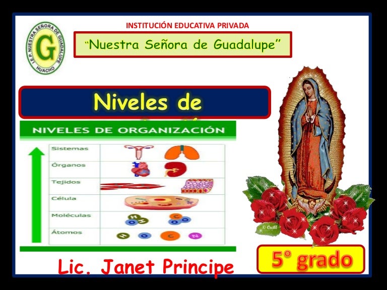 Niveles de organización de los seres vivos