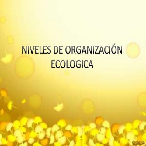 Niveles de organización ecologica
