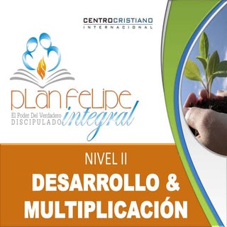 PFI - Nivel II - Desarrollo y Multi...