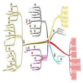 Niventory Count -  MIND MAPPING STUDY TECHNIQUE 