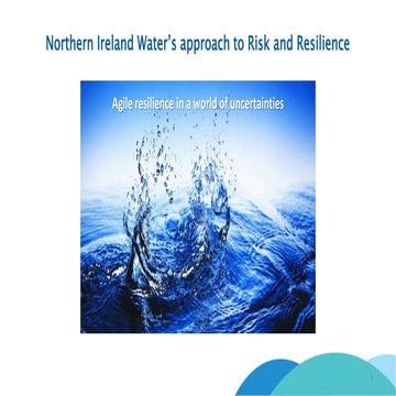 George Ong, Chief Risk Officer, Northern Ireland Water
