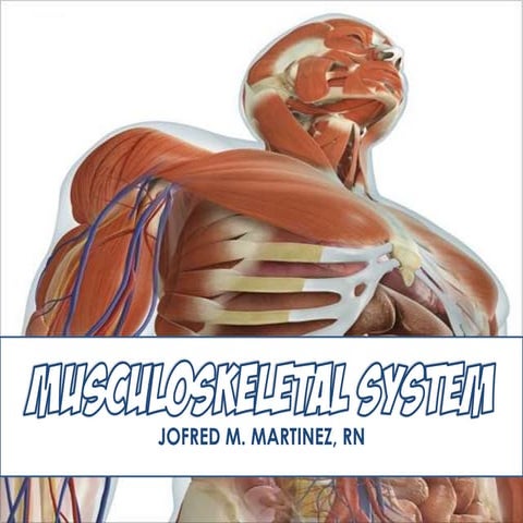 Musculoskeletal System Lecture Pdf