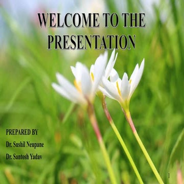 NLEV(Theriogenology)