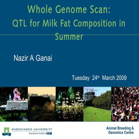 Nlm presentation qtl for fat