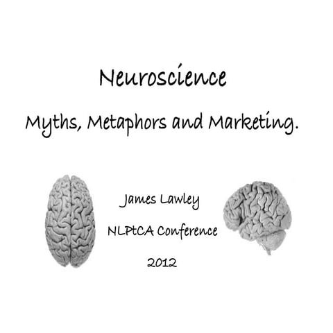 Neuroscience: Myths, Metaphors and Marketing