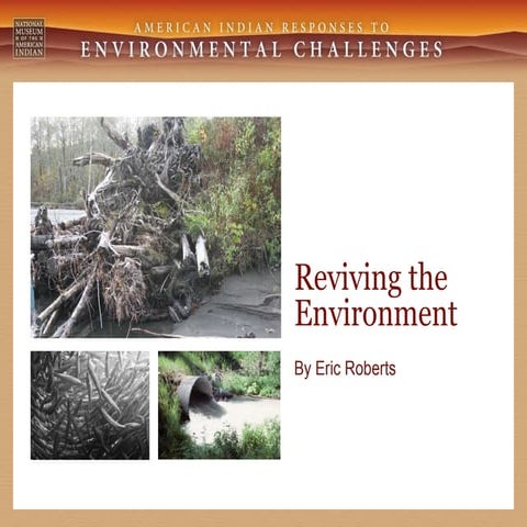 NMAI Environmental Challenge_example
