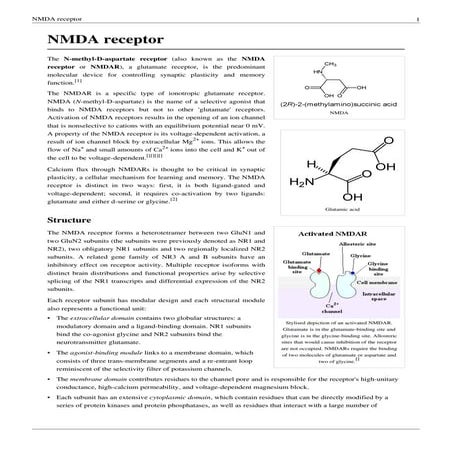 NMDA Receptors-GLUTAMATE-GLYCINE-SERINE and  CNS Neurobiology
