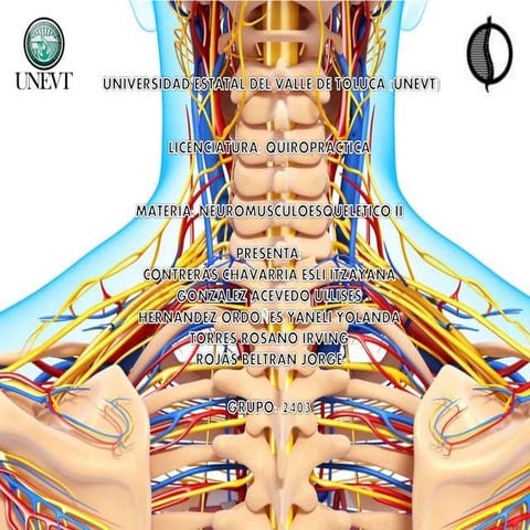 TENDINITIS/BURSITIS HOMBRO