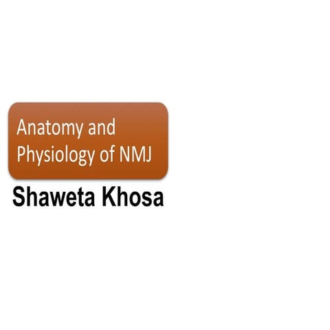 Nmj anatomy by shaweta khosa