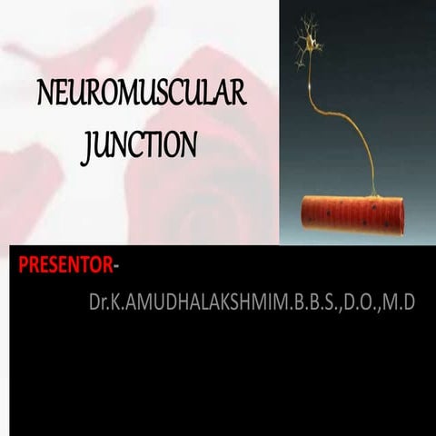 NEUROMUSCULAR JUNCTION