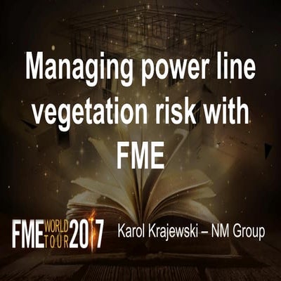 Managing Power Line Vegetation Risk with FME