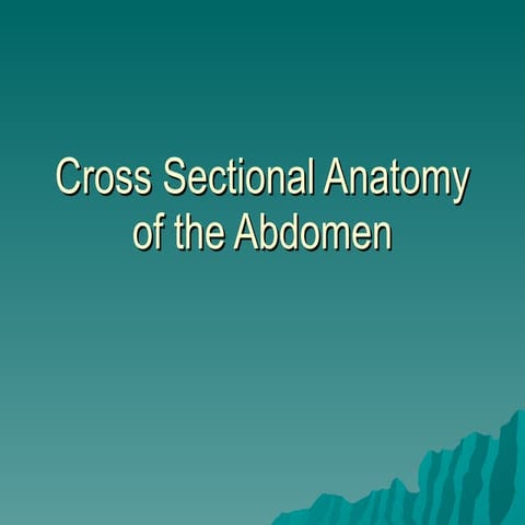 Abdominal CT scan | PPTX