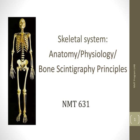 Nmt631 skeletal anat, phys, bone scinti principles