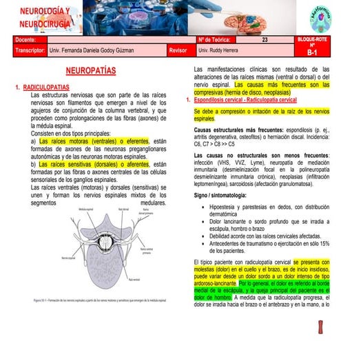 RESUMEN DE COLUMNA VERTEBRAL. NETTER ORTOPEDIA.pdf