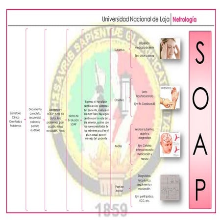 Nota de Evolución o Nota SOAP