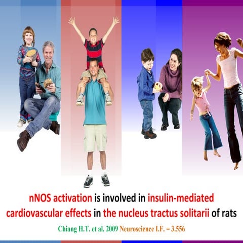 nNOS activation is involved in insulin-mediated CV effects in the NTS | PPT