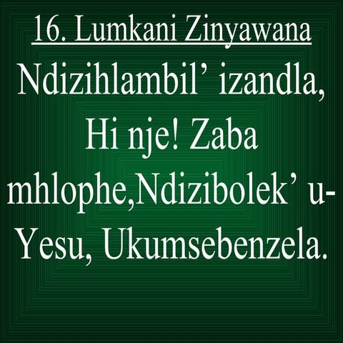 No.11