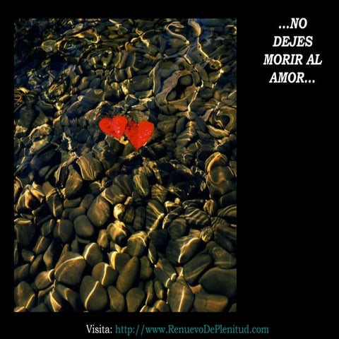 No dejes-morir-al-amor