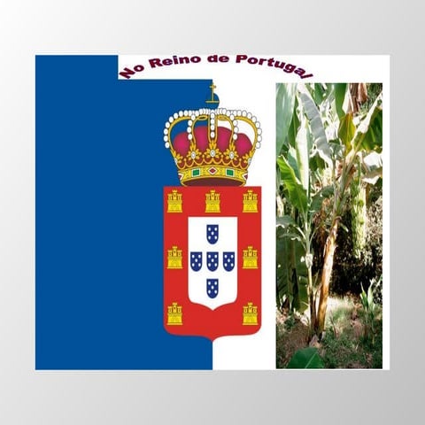 No Reino Do Faz De Conta