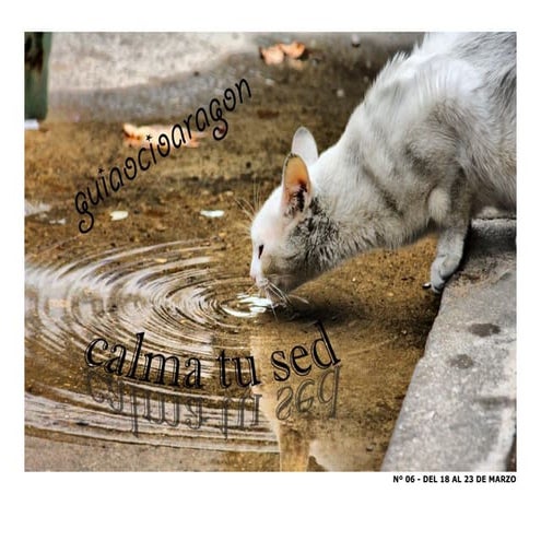 Nº 06 - Del 18 al 21 Marzo