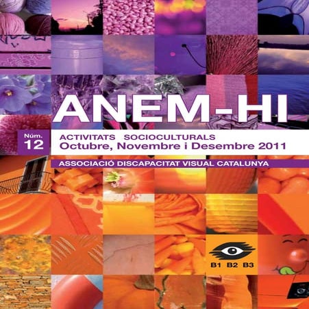Revista ANEM-HI - Año 2011- Nº12