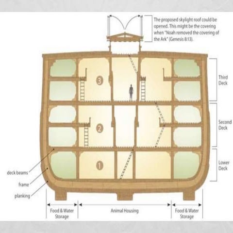 Noah and the Ark | PPTX