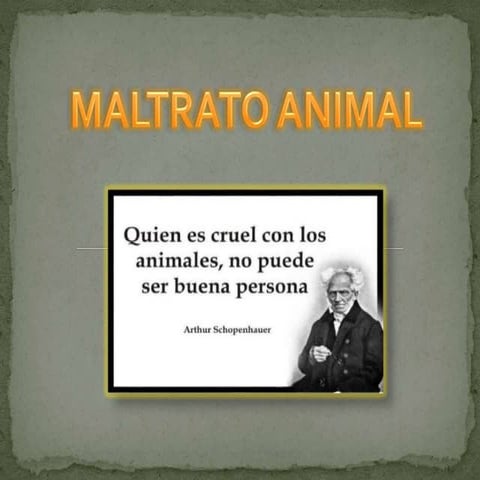 MALTRATO ANIMAL 